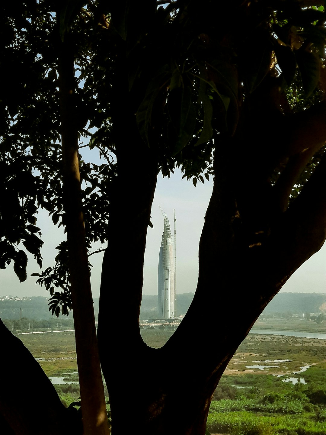Window light portrait